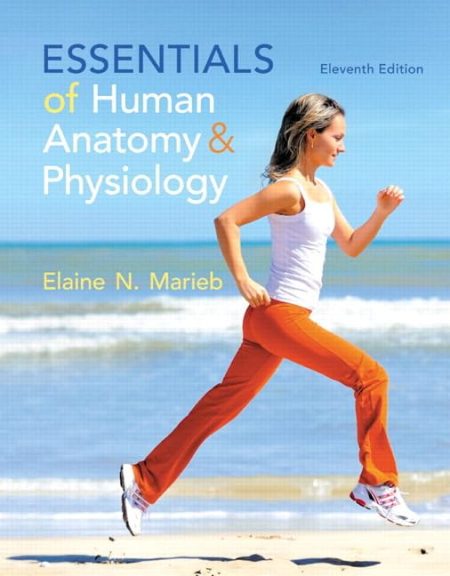 Essentials of Human Anatomy & Physiology 11th Edition