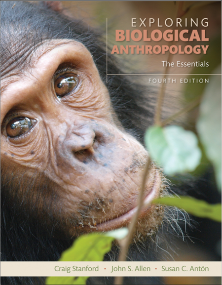 Exploring Biological Anthropology: The Essentials 4th Edition